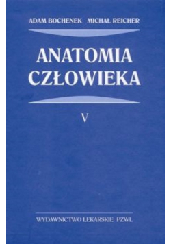 Anatomia człowieka tom V