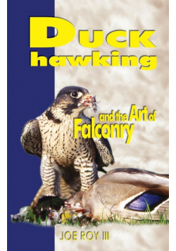 Duck Hawking
