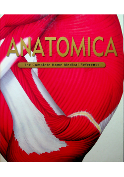 Anatomica