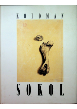 Koloman Sokol