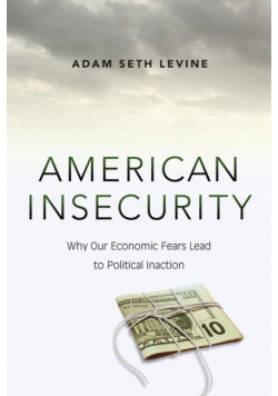 American Insecurity