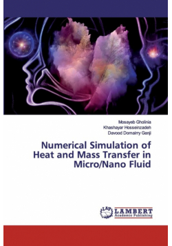 Numerical Simulation of Heat and Mass Transfer in Micro/Nano Fluid