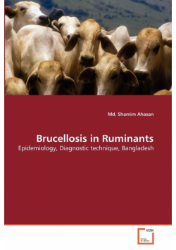 Brucellosis in Ruminants