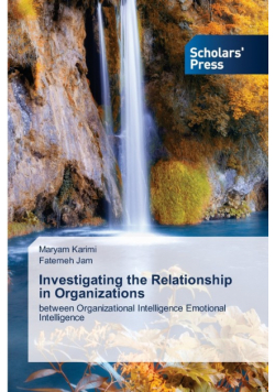 Investigating the Relationship in Organizations