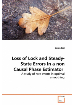 Loss of Lock and Steady-State Errors In a non Causal  Phase Estimator