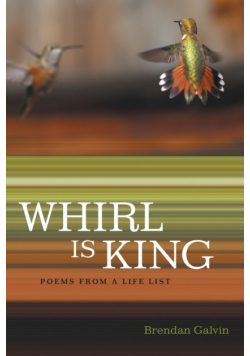 Whirl Is King