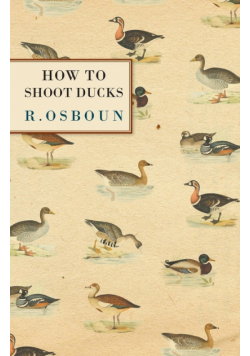 How to Shoot Ducks