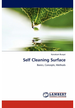 Self Cleaning Surface