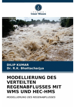 Modellierung Des Verteilten Regenabflusses Mit Wms Und Hec-Hms