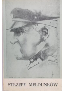 Strzępy meldunków
