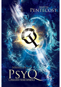 Introduction to the PsyQ Consultant
