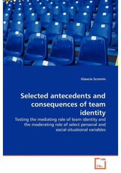 Selected antecedents and consequences of team identity