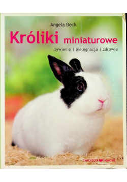 Króliki miniaturowe