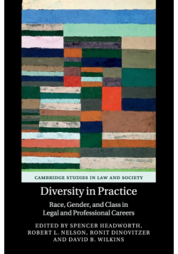 Diversity in Practice
