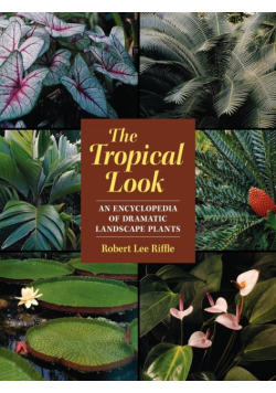 The Tropical Look