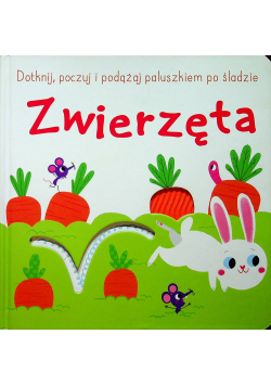 Dotknij poczuj i podążaj po śladzie Zwierzęta