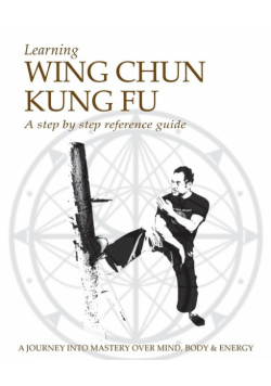 Learning Wing Chun Kung Fu