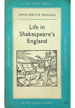 Life in shakespeares england