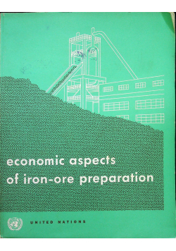 Economic aspects of iron ore preparation
