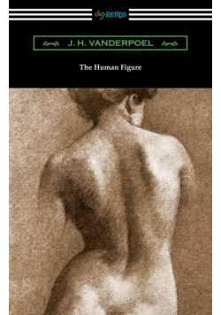 The Human Figure