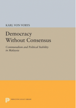 Democracy Without Consensus