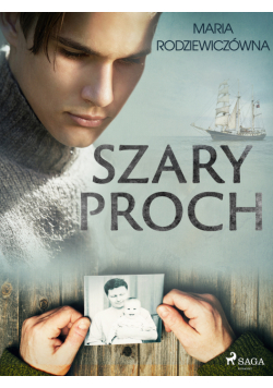 Szary proch