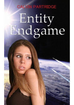 Entity Endgame