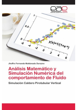 Análisis Matemático y Simulación Numérica del comportamiento de Fluido