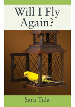 Will I Fly Again?