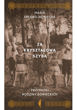Za kryształową szybą. Przypadki rodziny Bonieckich