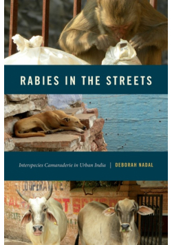 Rabies in the Streets