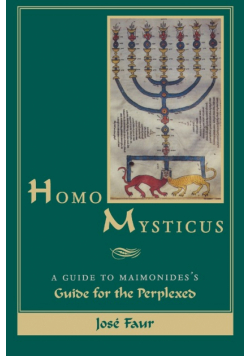 Homo Mysticus