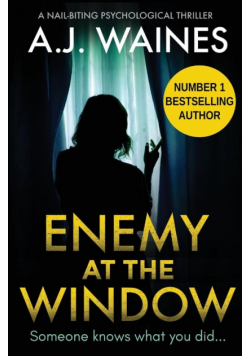 Enemy At The Window