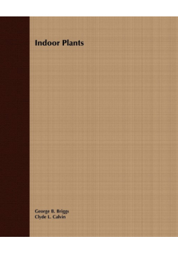 Indoor Plants