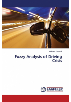 Fuzzy Analysis of Driving Crisis