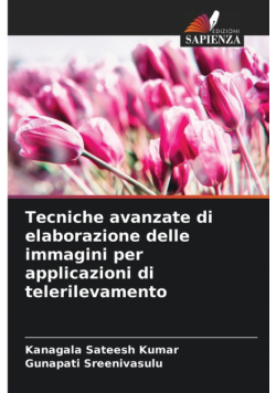 Tecniche avanzate di elaborazione delle immagini per applicazioni di telerilevamento