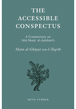 The Accessible Conspectus