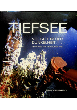 Tiefsee vielfalt in der dunkelheit
