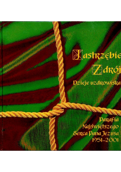 Jastrzębie Zdrój Dzieje uzdrowiska