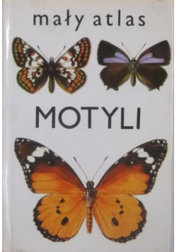 Mały atlas motyli