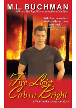 Fire Light Cabin Bright