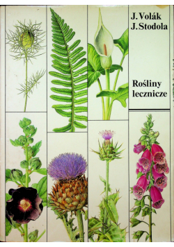 Rośliny leczniczej