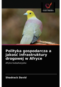 Polityka gospodarcza a jakość infrastruktury drogowej w Afryce