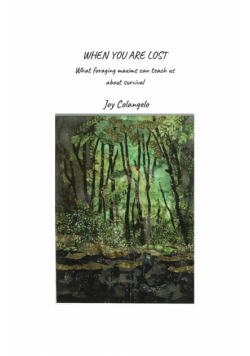 When You Are Lost