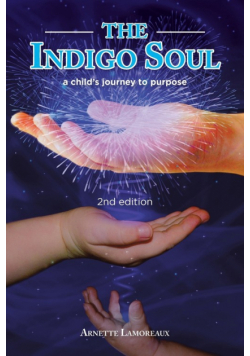 The Indigo Soul