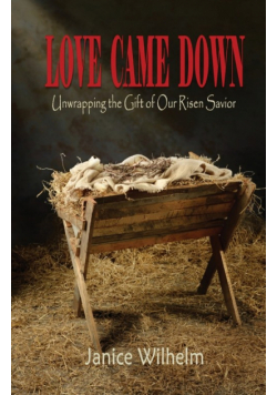 Love Came Down