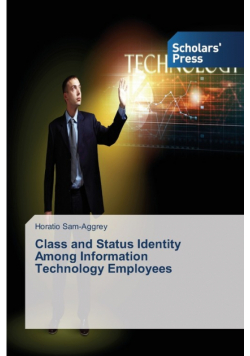 Class and Status Identity Among Information Technology Employees