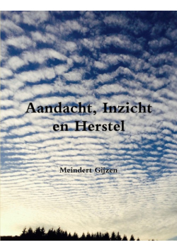 Aandacht, Inzicht en Herstel