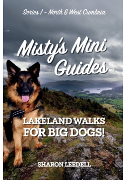 Misty's Mini Guides