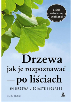 Drzewa - jak je rozpoznawać po liściach
